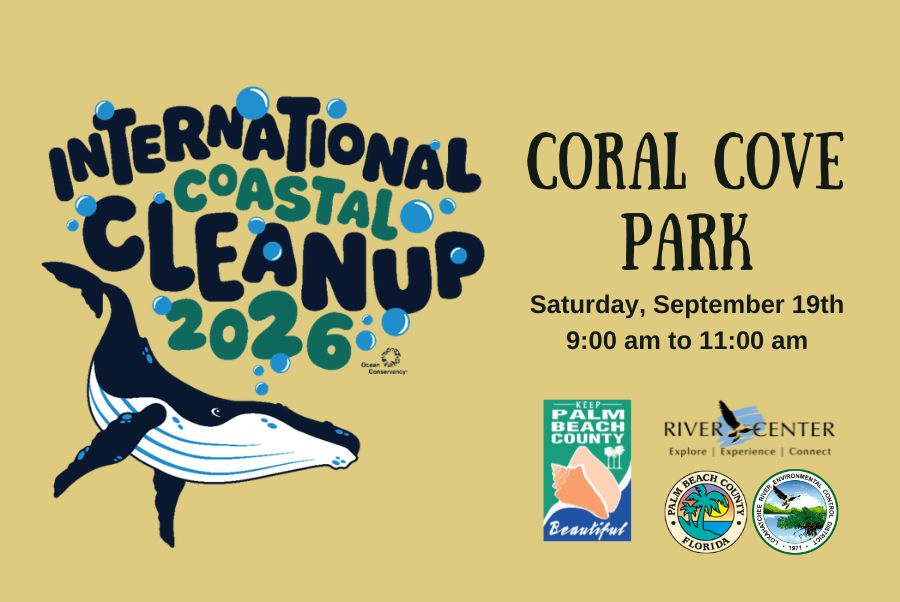 🌊 Join the Fight Against Litter: Coastal Cleanup at Coral Cove Park!