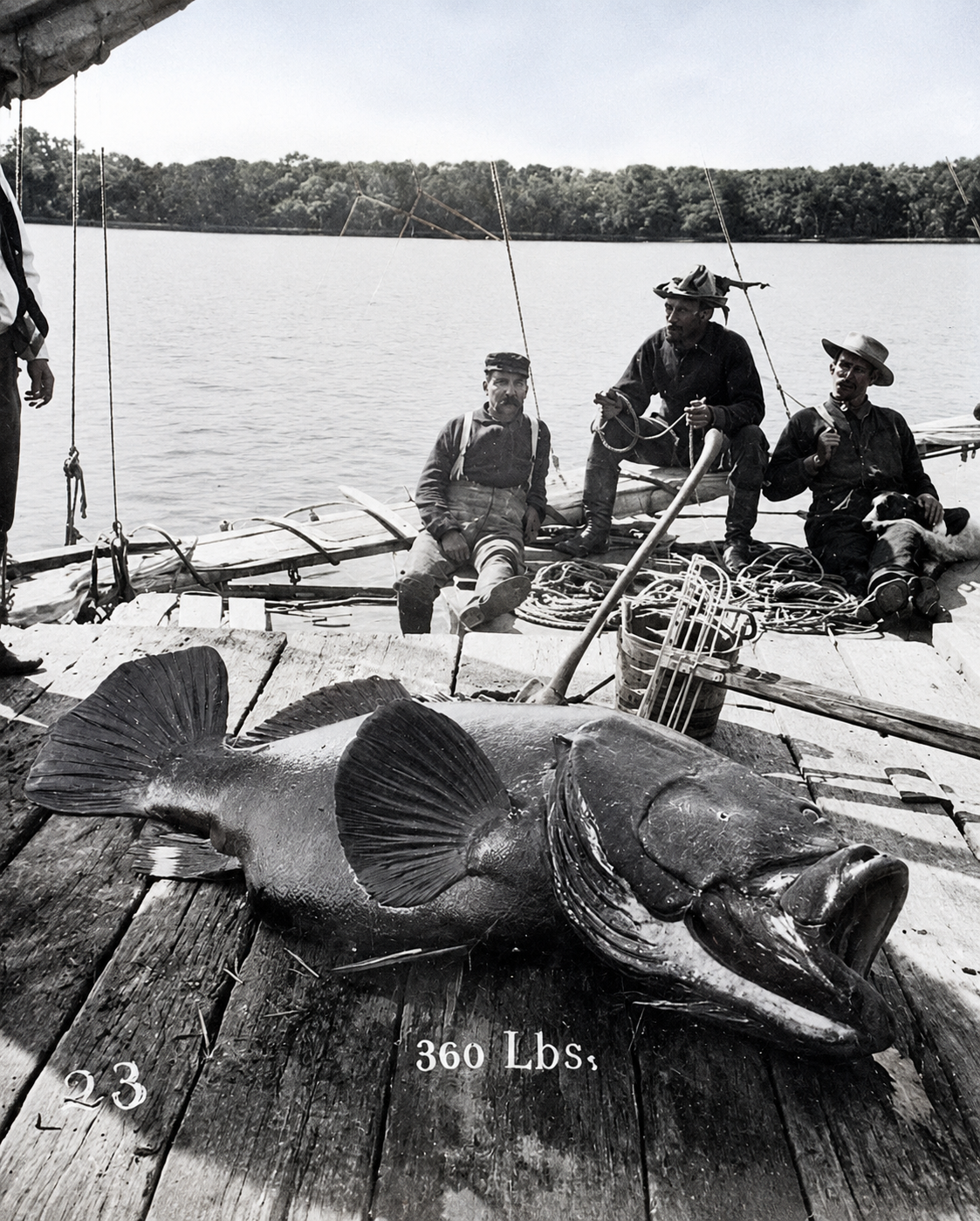 A 350-Pound Catch at Jupiter Inlet, Circa 1910