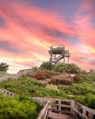 Hobe Mountain Tower Has Been Closed for More Than Two Years. The Fight to Reopen It Continues.